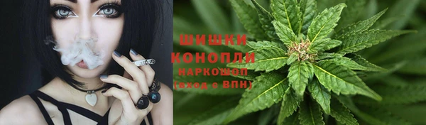 ПСИЛОЦИБИНОВЫЕ ГРИБЫ Алзамай