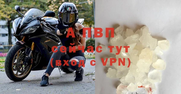 сатива Надым