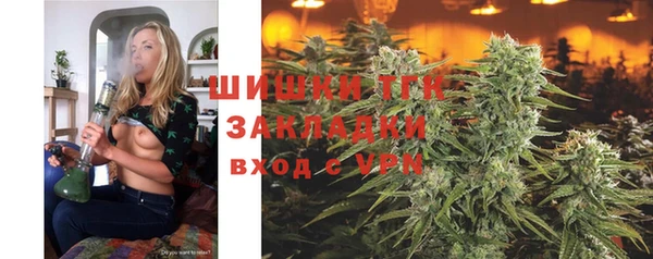 сатива Надым