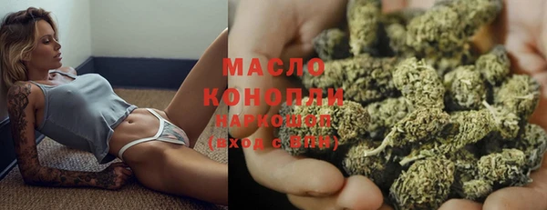 сатива Надым