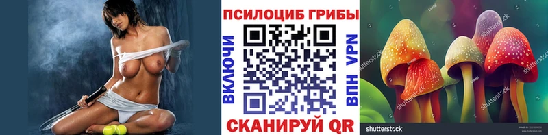 цена Пикалёво Псилоцибиновые грибы Psilocybine cubensis