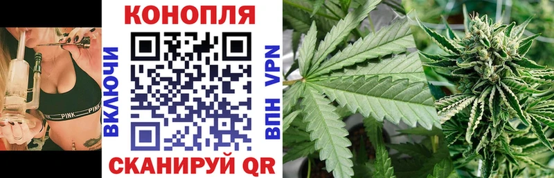 Бошки марихуана семена Пикалёво
